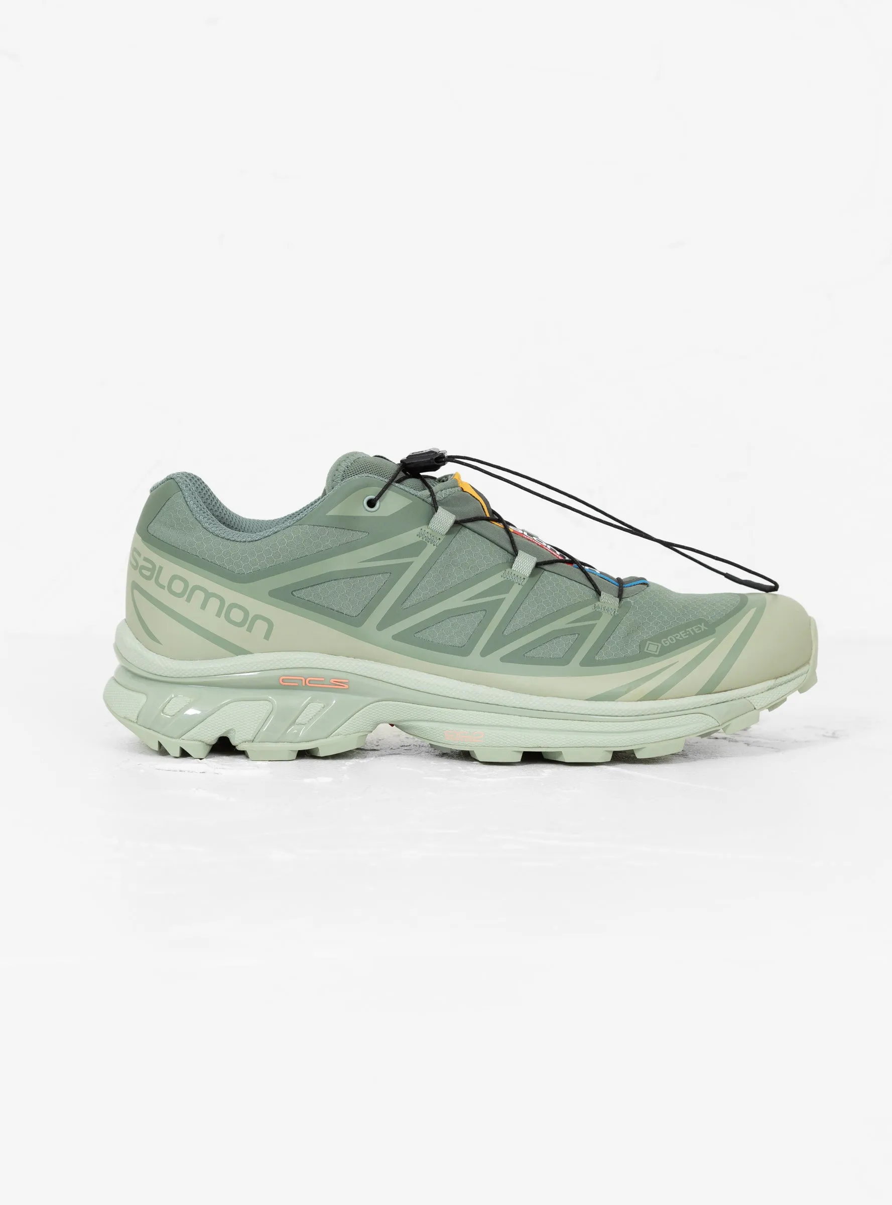 XT-6 GTX Sneakers Desert Sage, Lily Pad & Laurel Wreath